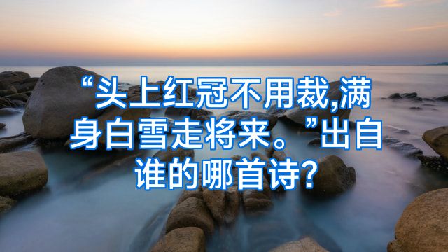 “头上红冠不用裁,满身白雪走将来。”出自谁的哪首诗?