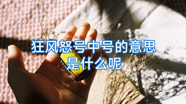 狂风怒号中号的意思是什么呢