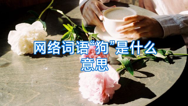 网络词语“狗”是什么意思