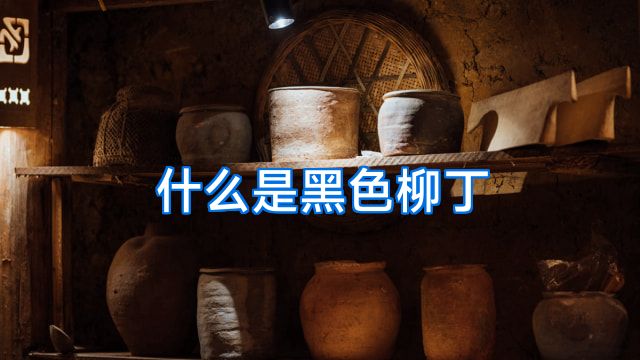 什么是黑色柳丁