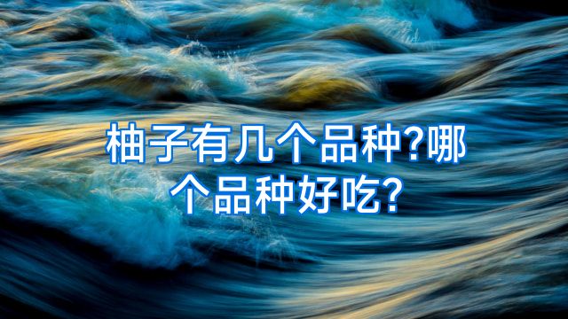 柚子有几个品种?哪个品种好吃?