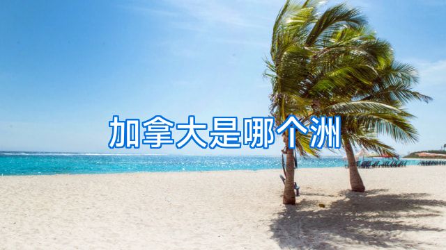 加拿大是哪个洲