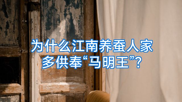 为什么江南养蚕人家多供奉“马明王”?