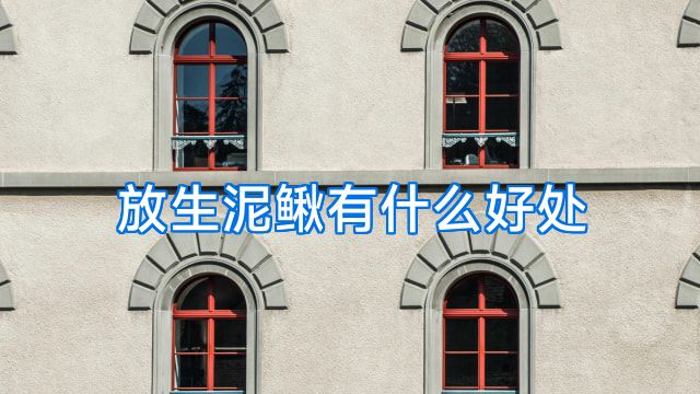 放生泥鳅有什么好处