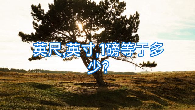 英尺,英寸,1磅等于多少?