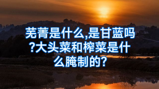 芜菁是什么,是甘蓝吗?大头菜和榨菜是什么腌制的?