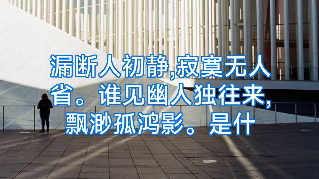 漏断人初静,寂寞无人省。谁见幽人独往来,飘渺孤鸿影。是什
