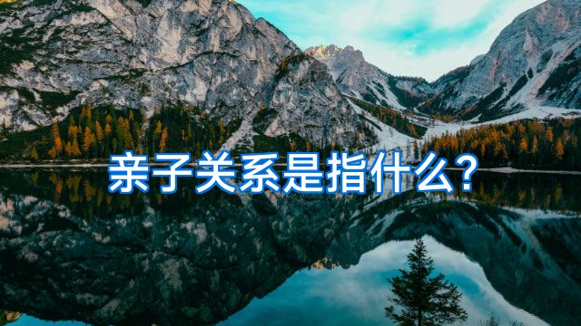 亲子关系是指什么?