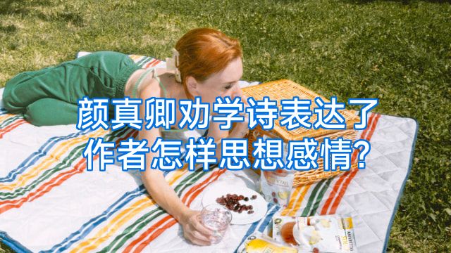 颜真卿劝学诗表达了作者怎样思想感情?