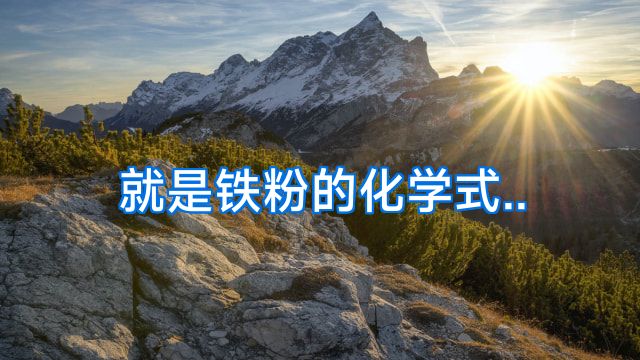 就是铁粉的化学式..