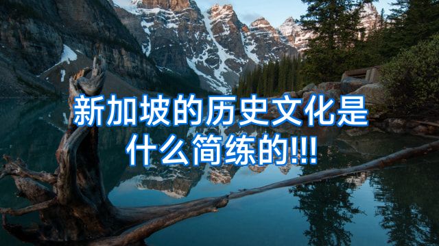 新加坡的历史文化是什么简练的!!!