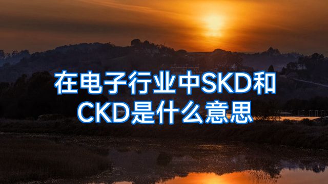 在电子行业中SKD和CKD是什么意思