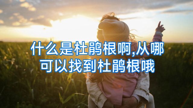 什么是杜鹃根啊,从哪可以找到杜鹃根哦