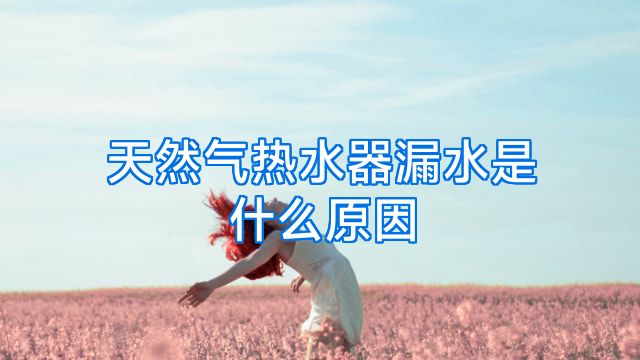 天然气热水器漏水是什么原因