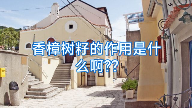 香樟树籽的作用是什么啊??