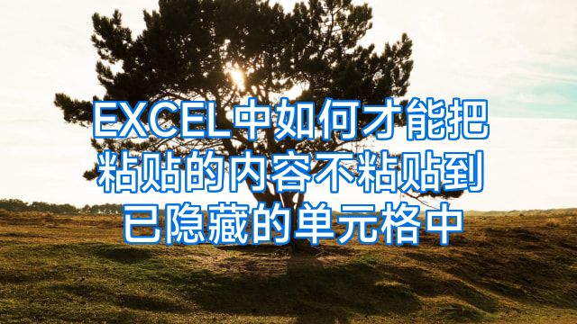 EXCEL中如何才能把粘贴的内容不粘贴到已隐藏的单元格中