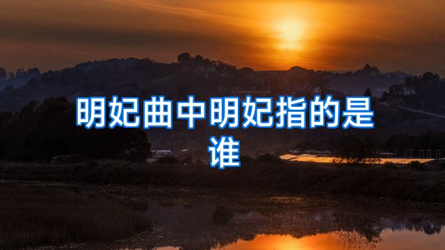 明妃曲中明妃指的是谁
