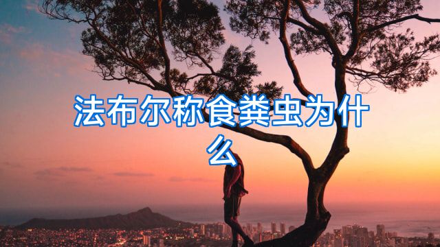 法布尔称食粪虫为什么
