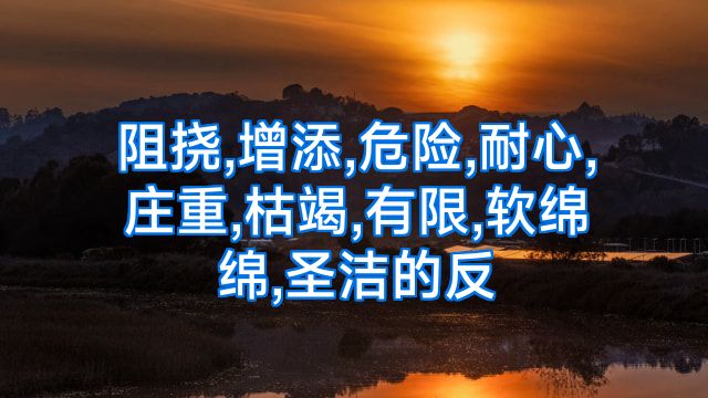 阻挠,增添,危险,耐心,庄重,枯竭,有限,软绵绵,圣洁的反
