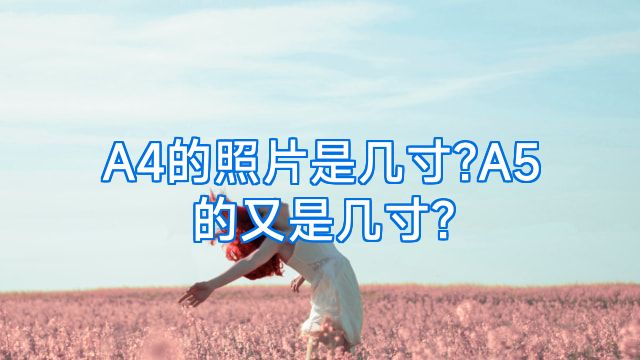 A4的照片是几寸?A5的又是几寸?
