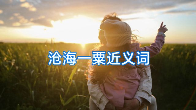 沧海一粟近义词