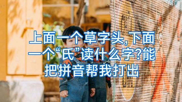 上面一个草字头,下面一个“氏”读什么字?能把拼音帮我打出