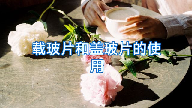 载玻片和盖玻片的使用