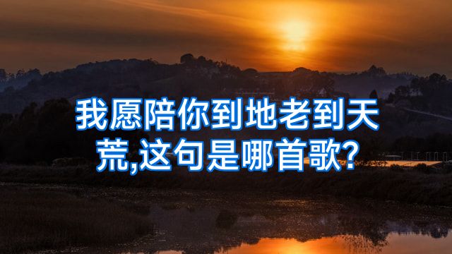 我愿陪你到地老到天荒,这句是哪首歌?