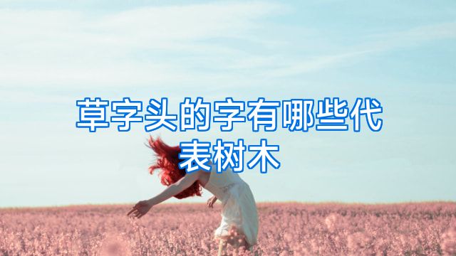 草字头的字有哪些代表树木