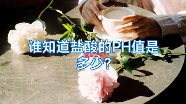 谁知道盐酸的PH值是多少?