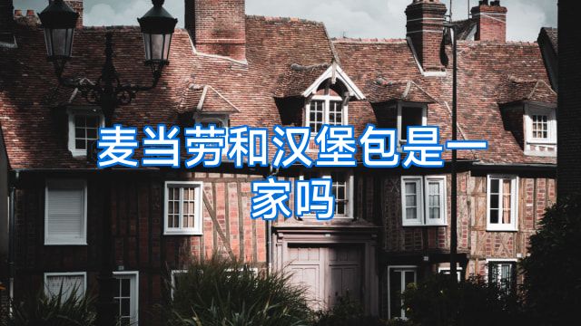 麦当劳和汉堡包是一家吗