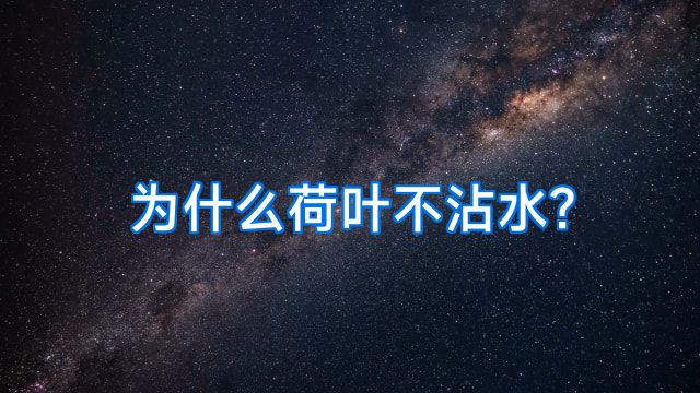 为什么荷叶不沾水?