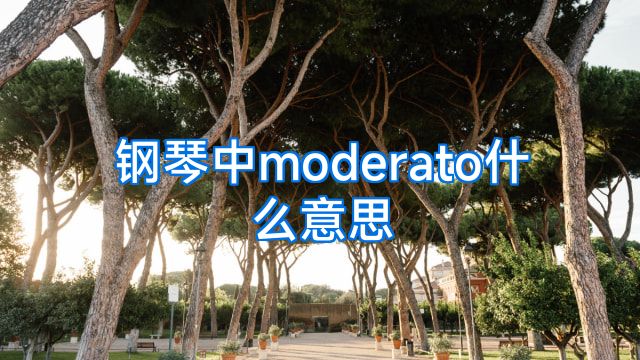 钢琴中moderato什么意思