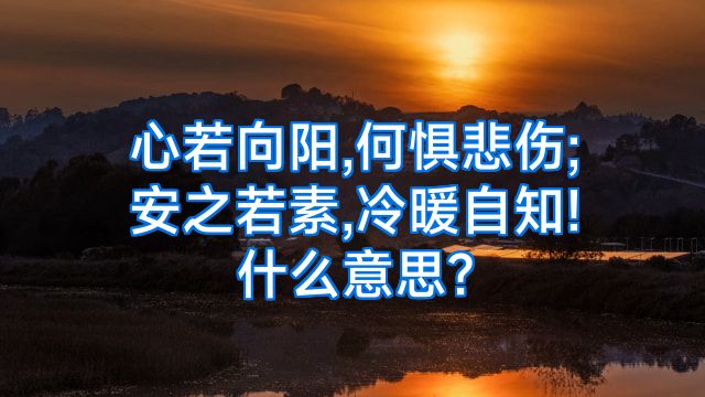 心若向阳,何惧悲伤;安之若素,冷暖自知!什么意思?