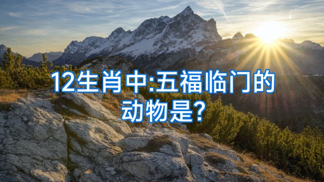 12生肖中:五福临门的动物是?