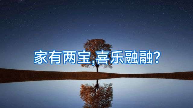 家有两宝,喜乐融融?