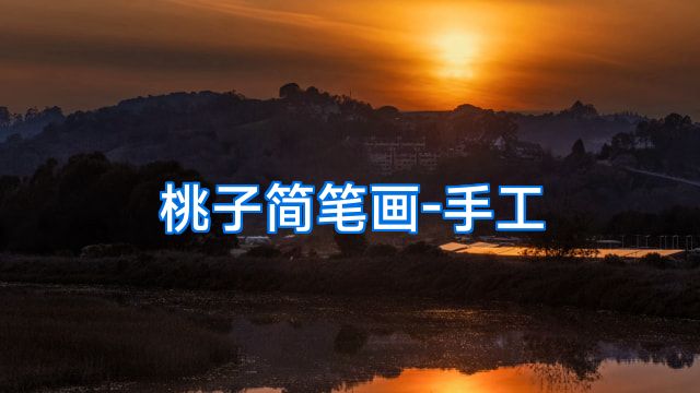 桃子简笔画-手工