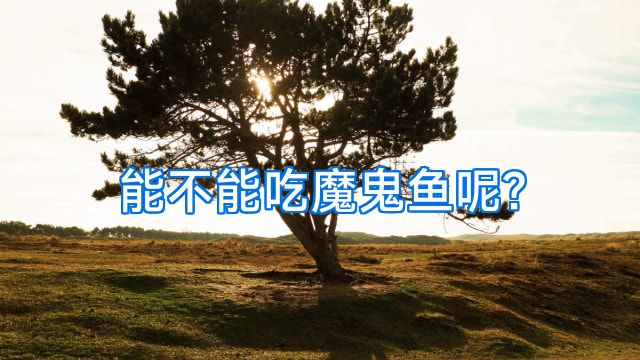 能不能吃魔鬼鱼呢?