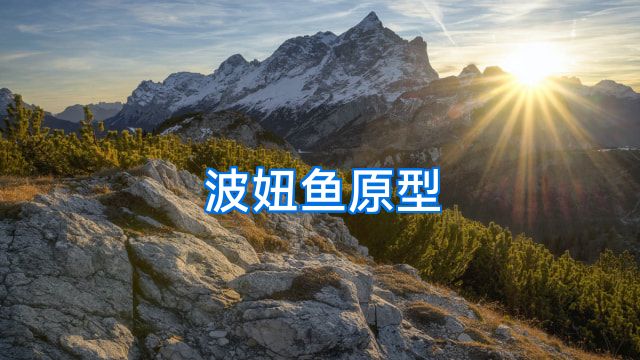 波妞鱼原型