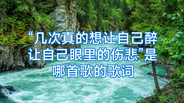 “几次真的想让自己醉让自己眼里的伤悲”是哪首歌的歌词