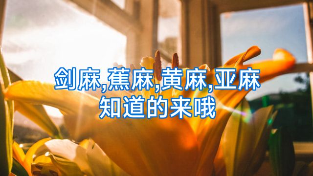 剑麻,蕉麻,黄麻,亚麻知道的来哦