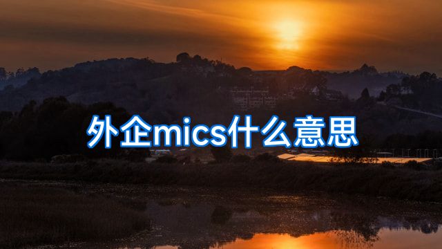 外企mics什么意思