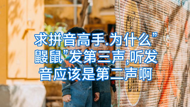 求拼音高手.为什么”鼹鼠”发第三声,听发音应该是第二声啊