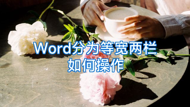 Word分为等宽两栏如何操作