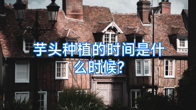 芋头种植的时间是什么时候?