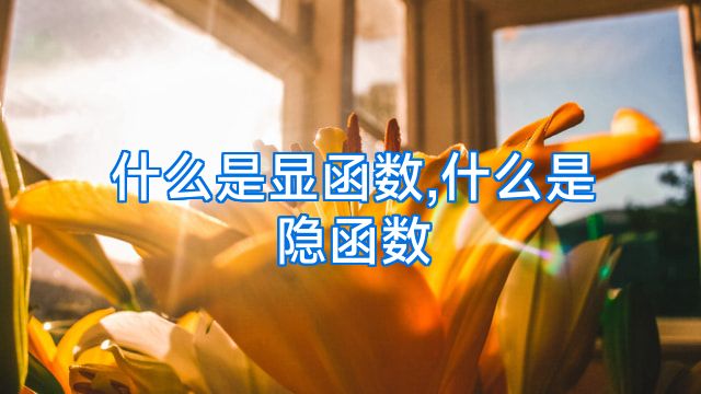 什么是显函数,什么是隐函数