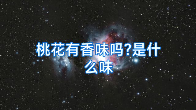 桃花有香味吗?是什么味