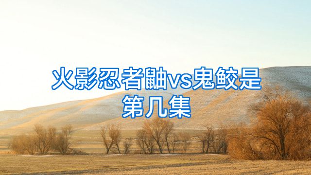 火影忍者鼬vs鬼鲛是第几集