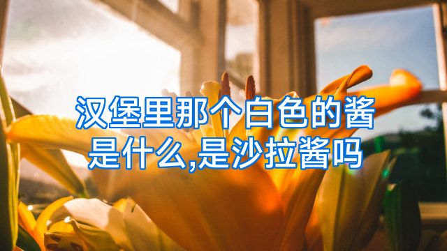 汉堡里那个白色的酱是什么,是沙拉酱吗
