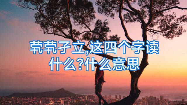 茕茕孑立,这四个字读什么?什么意思